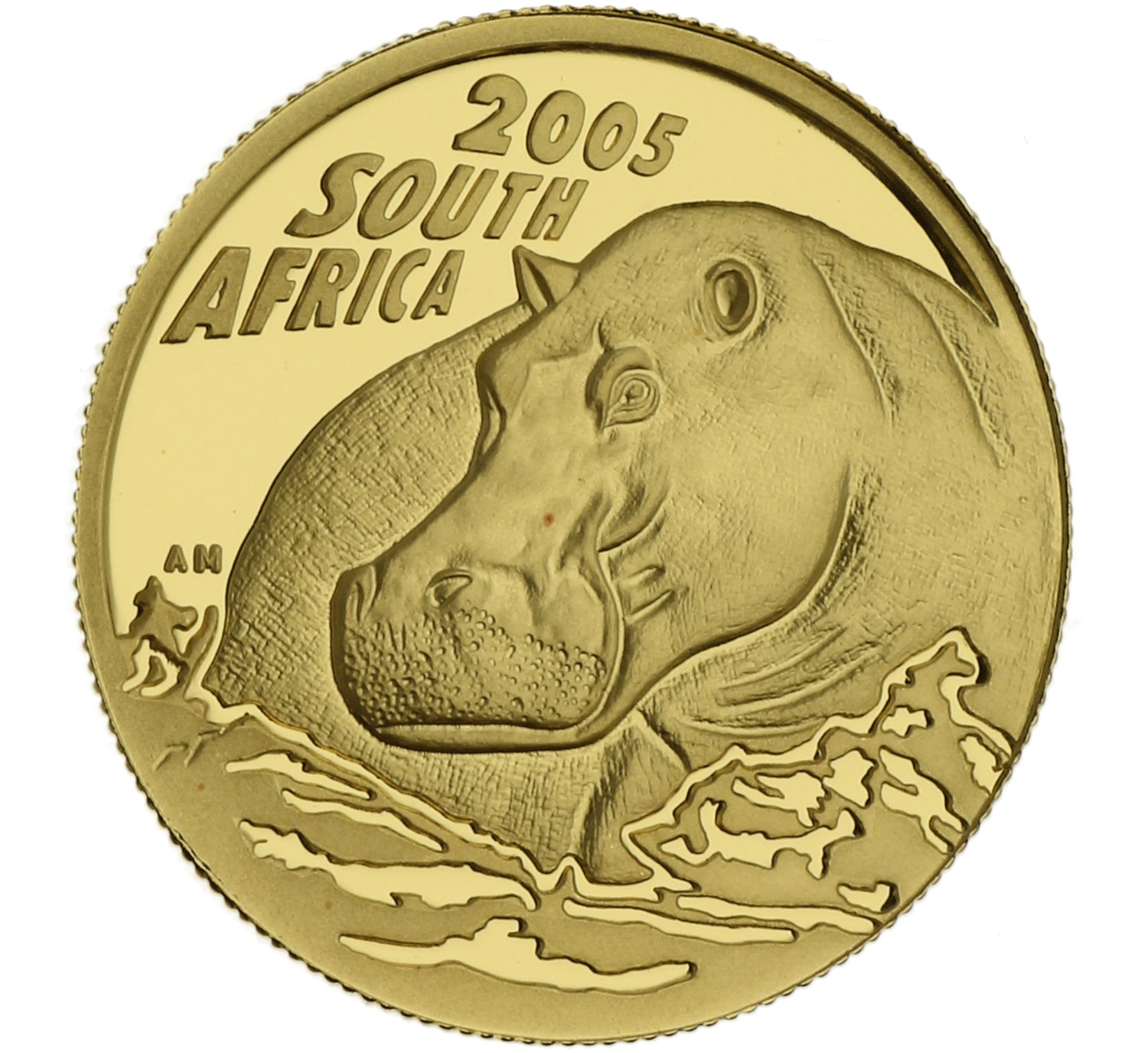 20 Rand - South Africa - 2005