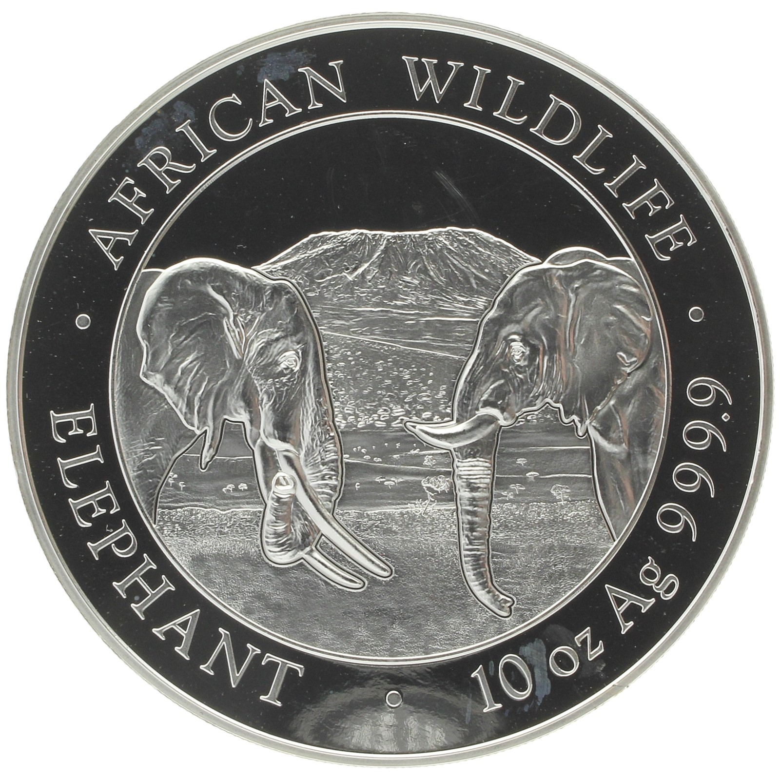 Somalia - 1000 shillings - 2020 - Elephant - 10oz