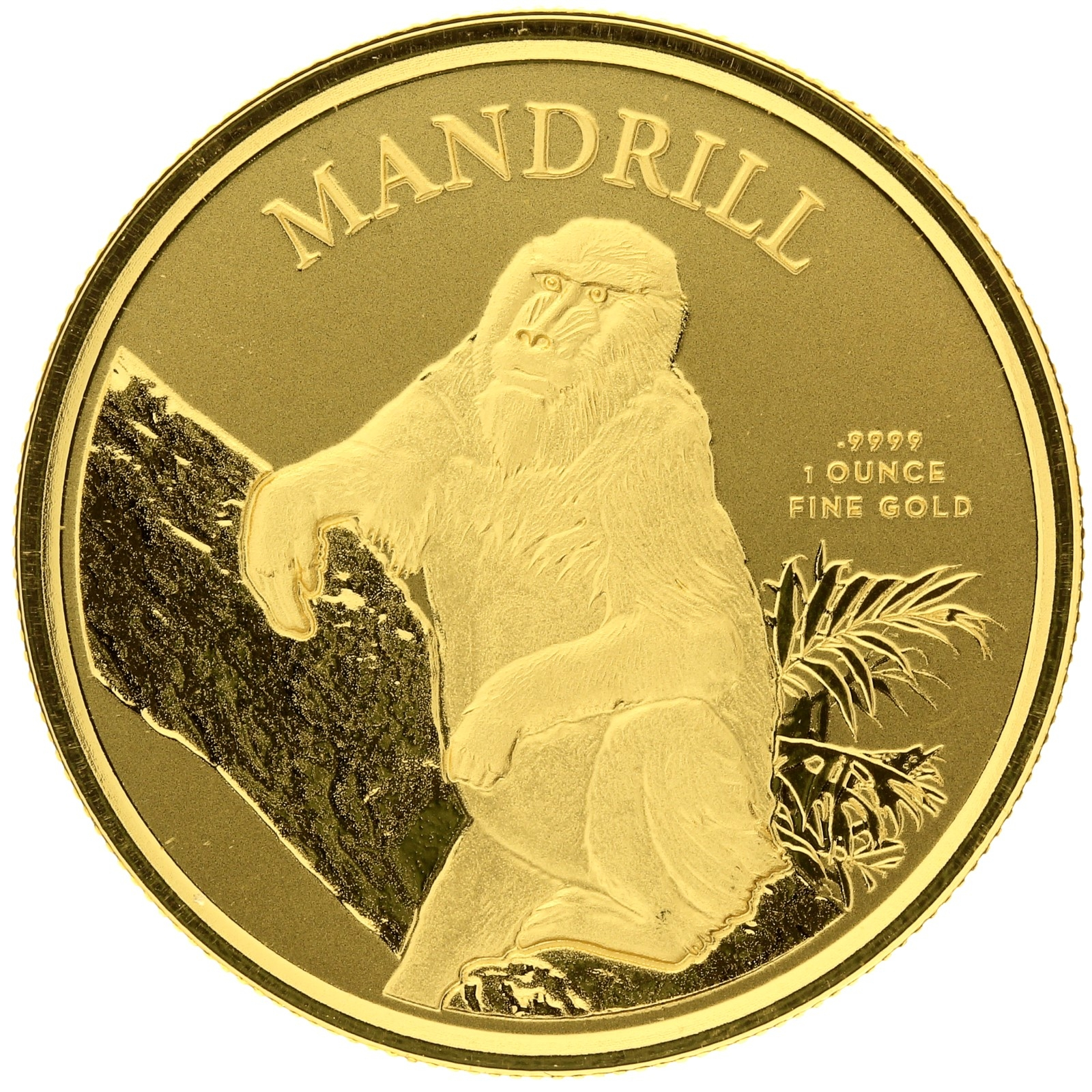 Cameroon - 3000 francs - 2021 - Mandrill - 1oz