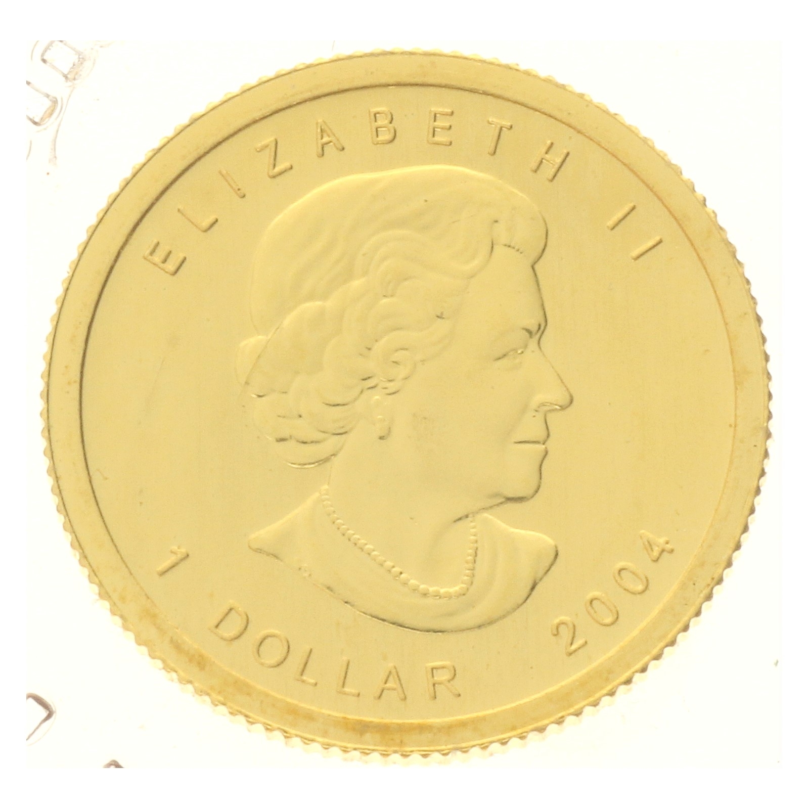 Canada - 1 dollar - 2004 - 1/20 oz